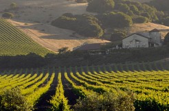 Two wineries in California with 2 Haciendas